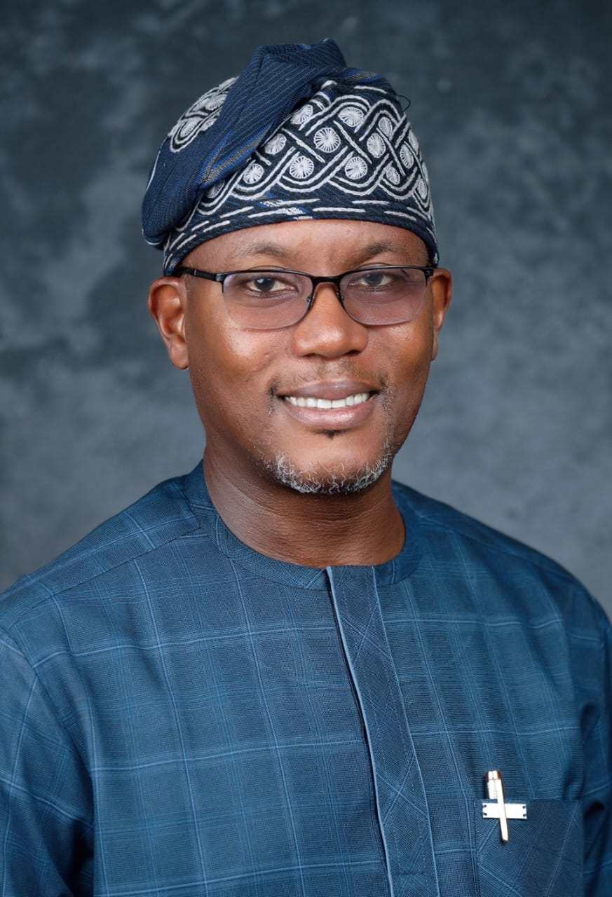 Professor Emiola Oluwabunmi Olapade-Olaopa, FAS, FNAMed, FAMedS